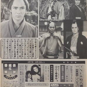 週刊テレビ番組/TV情報誌 昭和59年 1984年 太陽にほえろ 露口茂 新藤兼人 松本清張 郷ひろみ 岩井小百合 昭和レトロ 雑誌 テレビガイド の画像9