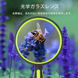 手持ちルーペ 拡大鏡 虫眼鏡 拡大レンズ 10倍ルーペ 可愛いサイズ