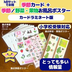 小学校受験　お風呂ポスター　カード　季節　野菜　果物　理科的常識　季節のお勉強　ラミネート版