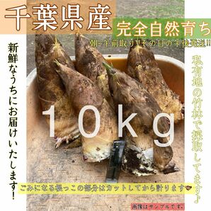 〝生たけのこ〟旬の絶品 タケノコ 10kg 千葉県産 超数量限定