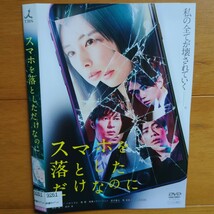 スマホを落としただけなのに レンタル落ちDVD 　ケース無し 紙ジャケットとディスクのみ　北川景子　田中圭_画像1