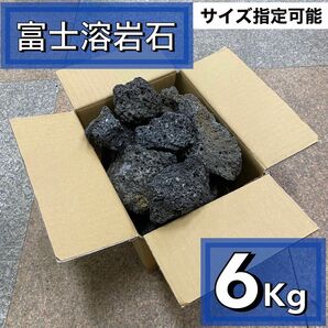 富士溶岩石　6kg アクアリウム　水槽レイアウト　アロマ　パルダリウム　コケリウム 飾り石 石材 ストーン龍王 清 ADA 天然 