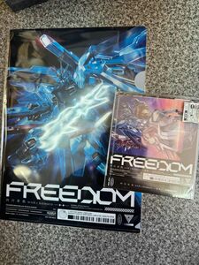 アマゾン 特典 メガジャケ 劇場版 ガンダム SEED FREEDOM CD 