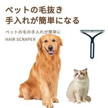 【今売れています】掃除ブラシ 布団 ペット毛 カーペット 犬用抜け毛クリーナー 衣類 猫 寝具 ホコリ取り シート 毛玉取り ソフ_画像6