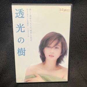 DVD 秋吉久美子　透光の樹
