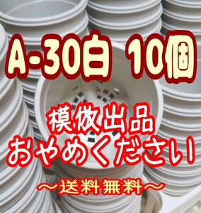 ◆送料無料◆プラ鉢【A-30】10個 スリット鉢 丸 プレステラ 多肉植物