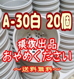 ◆送料無料◆プラ鉢【A-30】20個 スリット鉢 丸 プレステラ 多肉植物