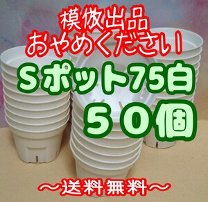 ◆送料無料◆Sポット75 白 50個 スリット鉢 プラ鉢 2.5号 7.5cm プレステラ 丸型 多肉植物