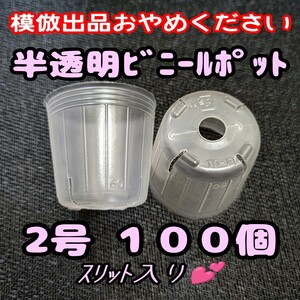 ◆送料無料◆2号6cm スリット入り半透明ビニールポット 100個 プラ鉢 ポリポット 多肉植物プレステラ