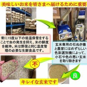 減農薬 新潟こしひかり玄米粉900g 令和5年 新潟県三条市しただ産 新潟県認証 特別栽培米コシヒカリ玄米100% グルテンフリー 送料無料の画像5