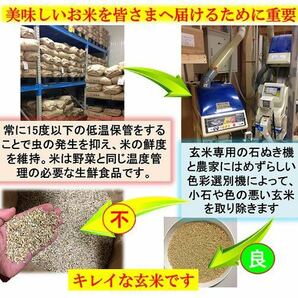 令和5年産 新潟産ミルキークイーン白米10kg 新潟県三条市旧しただ村産 冷めてもモチモチ美味しいミルキーをおにぎりやお弁当に？の画像3