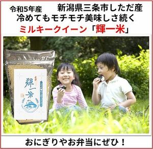 新米お試し　新潟産ミルキークイーン白米900g 新潟県三条市旧しただ村産　ミルキー100% 輝一米　冷めてもモチモチ、おにぎりお弁当などに？