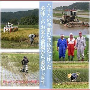 訳あり 減農薬こしひかり米粉900g 令和5年産 新潟県三条市旧しただ村産 新潟県認証 特別栽培米100%使用 グルテンフリー 送料無料の画像6