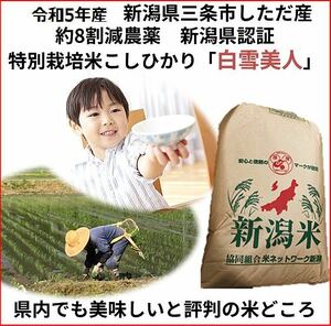 令和5年産　減農薬　新潟こしひかり白米27kg 新潟県三条市旧しただ村産　新潟県認証　特別栽培米100%本物 白雪美人　グルテンフリー