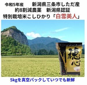 令和5年産　減農薬　新潟こしひかり白米真空パック10kg　新潟県三条市旧しただ村産　新潟県認証　特別栽培米100% 白雪美人