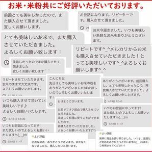 訳あり 減農薬こしひかり米粉900g 令和5年産 新潟県三条市旧しただ村産 新潟県認証 特別栽培米100%使用 グルテンフリー 送料無料の画像9