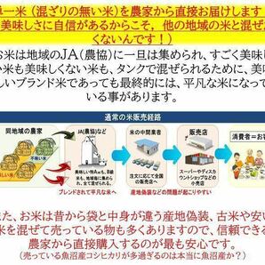 令和5年産 減農薬 新潟こしひかり白米5kg 新潟県三条市旧しただ村産 新潟県認証 特別栽培米100% 本物 グルテンフリー 送料無料の画像7