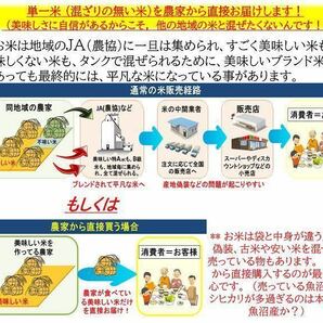 減農薬 新潟こしひかり玄米粉900g 令和5年 新潟県三条市しただ産 新潟県認証 特別栽培米コシヒカリ玄米100% グルテンフリー 送料無料の画像8