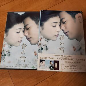 春の雪 [DVD]　竹内結子　妻夫木聡