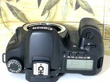 シャッター極少 5,770回 超美品 キャノン Canon EOS 40D EF-S 18-200mm IS レンズ 2本付き 重要付属品完備 8GBCFカード付き 週末値下げ_画像6