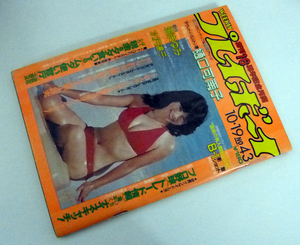 週刊プレイボーイ　昭和57年10月19日号　1982年　ナンバー43　樋口可南子/壇まゆみ