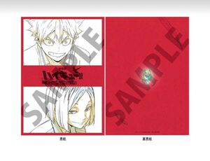 劇場版ハイキュー！！ ゴミ捨て場の決戦 第3弾 入場者特典 烏野×音駒 メモリアルブック 来場者プレゼント 