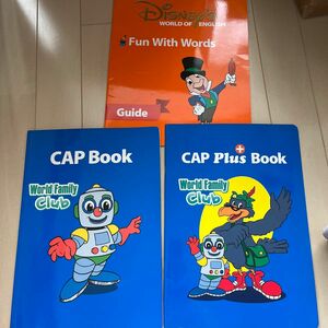 ワールドファミリー DWE cap book 