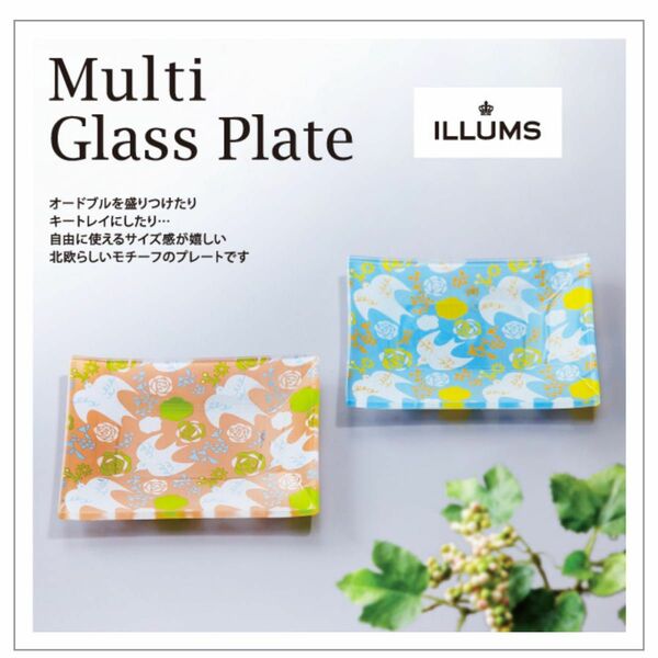ILLUMS イルムス マルチガラスプレート2枚セット