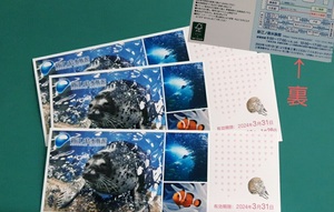 ★新江ノ島水族館 3枚 入場券 2024年3月31日迄有効 送料63円～