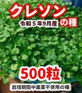 クレソンの種【500粒】栽培期間中農薬不使用の種