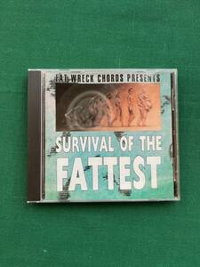 2404★FAT MUSIC VOL.2★SURVIVAL OF THE FATTEST★V.A★オムニバス★コンピレーションアルバム★ハイスタ★NOFX★クリックポスト発送