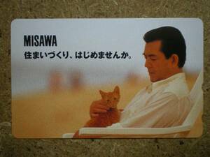 kayam*MISAWA. mountain male three cat telephone card 