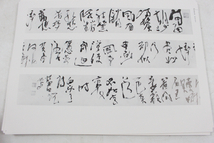 【ト静】 ★ 藍田上海展作品集 沖積舎 全69図1997年 殿村藍田 書作 画集 作品集 中古現状品 詳細画像参照 GA582GCG55_画像5