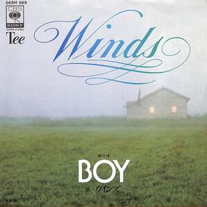 Winds(ウインズ)「BOY」　都倉俊一　クリッパー名曲セルフカヴァー　超音波洗浄済み