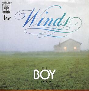 Winds(ウインズ)「BOY」　都倉俊一　クリッパー名曲セルフカヴァー　超音波洗浄済み