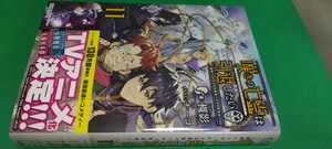 ノベル 嘆きの亡霊は引退したい 11巻（定価1320）新品未読本 GCノベルズ 2024.2.29刊