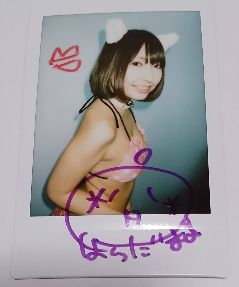 [Immediate decision, free shipping] Mao Harada Limited autographed bonus photo (DVD, not for sale, image, gravure idol, photo book, cosplay)a, Celebrity Goods, photograph