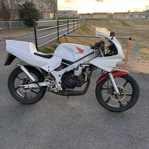 【下取り可】Honda　NS-1 Vehicle　実働　機関good condition　50cc　Authorised inspection索(NSR50 NSR80 NS50F NSR250R NS400R CRM80 CBR250RR CB400SF