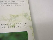 新星図書出版 沖縄植物 野外活用 図鑑 第2巻 栽培植物 著者：池原直樹 本 昭和59年6月10日 発行 ☆3964_画像5