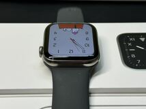 ☆即決 Apple Watch series5 Edition シルバーチタニウム Titanium 44mm アップルウォッチ GPS+Cellular エディション チタン 653_画像5