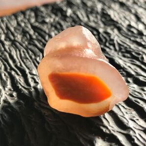 ゴビ石−1240 ゴビ瑪瑙 原石 断面