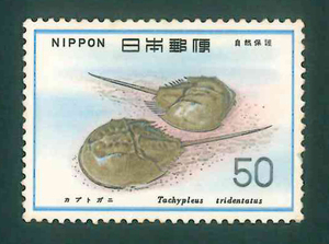 自然保護シリーズ　剣尾類　カブトガニ　記念切手　50円切手×1枚