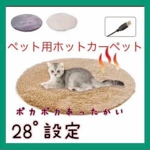  special price! warm for pets hot carpet electric heating heater ... sofa dog cat USB code beige remainder a little 