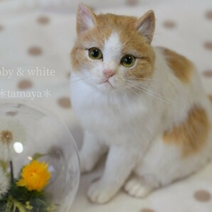 ＊tamaya＊羊毛フェルト＊茶白猫＊子猫＊ ハンドメイド ＊の画像1