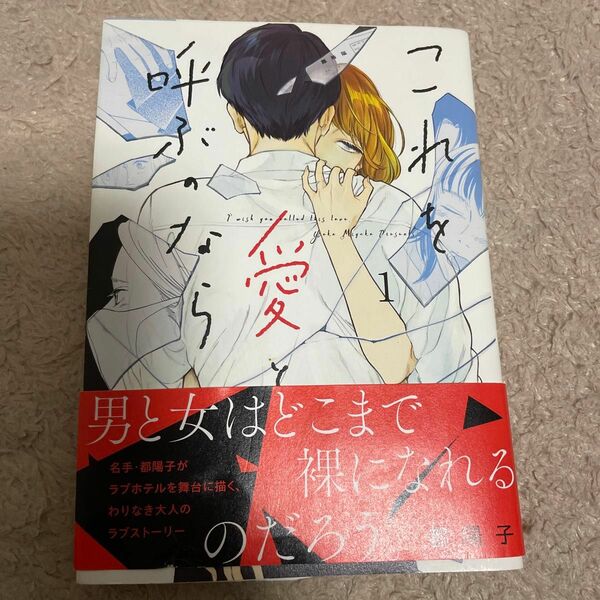 これを愛と呼ぶのなら　　　１ （ビッグコミックス） 都　陽子　著