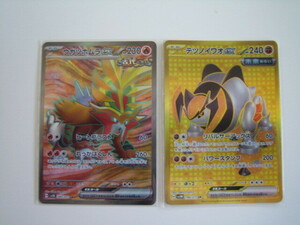 ポケモンカード・ＳＲ ＵＲ ウガツホムラｅｘ テツノイワオｅｘ 2枚セット ワイルドフォース サイバージャッジ