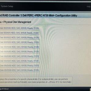 DELL PowerEdge R730xd (CPU:Xeon E5-2680 v3 2.50GHz ×2/メモリ:320GB/HDD:SAS 1TB ×12)/BIOS起動までの画像9
