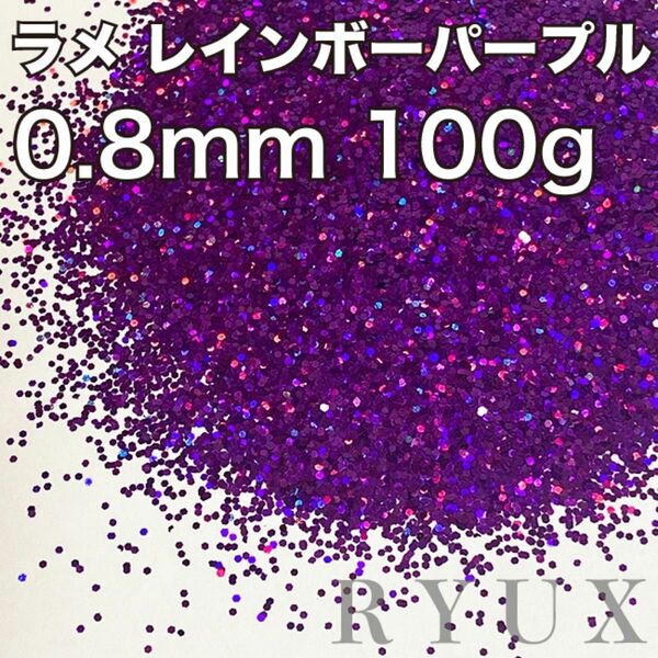 大容量！ラメ グリッター レインボーパープル 0.8mm 100g 塗装 塗料 キラキラ フレーク 