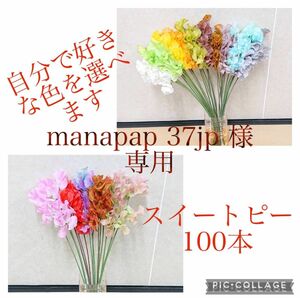 manapap 37jp 様専用 スイートピー【選べる100本】生花 切り花