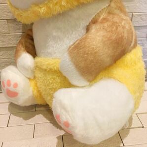 未使用タグ付 モフサンド mofusand  うさぎにゃん  BIGぬいぐるみ ウサギ 猫 ねこ ネコ  高さ約34㎝ の画像6